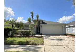 19507 Morden Blush Dr, LUTZ