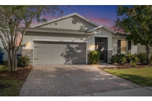 11514 Luckygem Dr, RIVERVIEW