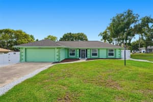 10490 Little St, SPRING HILL
