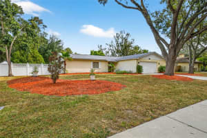 11009 Cinderlane Pl, TEMPLE TERRACE 11009 Cinderlane Pl, TEMPLE TERRACE