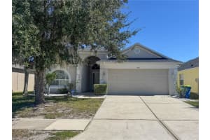 4150 Branchside Ln, WESLEY CHAPEL