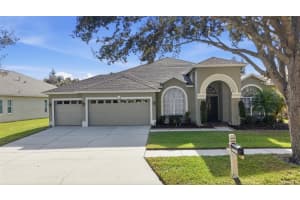 19607 Intrigue Way, LUTZ 19607 Intrigue Way, LUTZ