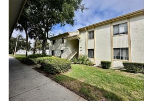 201 Pine Ct, OLDSMAR 201 Pine Ct, OLDSMAR