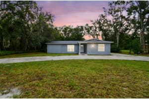 6005 Lakeside Dr, LUTZ