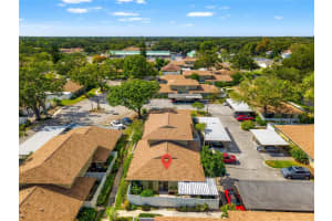 7206 San Luis Ct, TAMPA