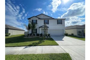 31875 Sun Kettle Loop, WESLEY CHAPEL