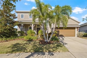 6542 Mayport Dr, APOLLO BEACH