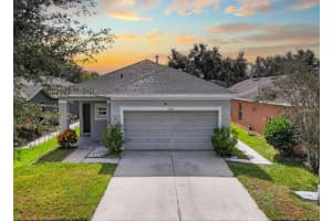 12815 Geneva Glade Dr, RIVERVIEW 12815 Geneva Glade Dr, RIVERVIEW