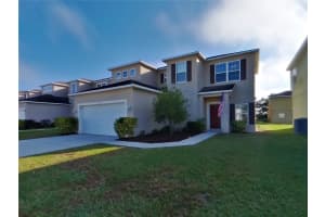 , WINTER HAVEN , WINTER HAVEN