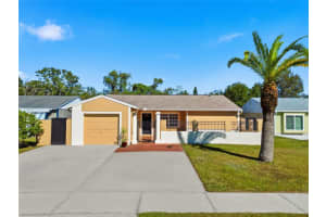 5731 Ridgestone Dr, TAMPA