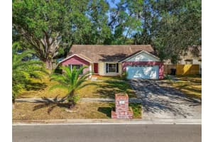 1565 Long Pond Dr, VALRICO