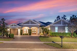 14709 Fishhawk Preserve Drive, LITHIA 14709 Fishhawk Preserve Drive, LITHIA