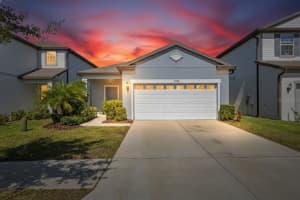 11414 Green Harvest Dr, RIVERVIEW