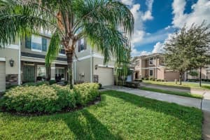 12562 Streamdale Dr, TAMPA 12562 Streamdale Dr, TAMPA
