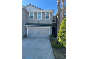 14234 Damselfly Dr, TAMPA 14234 Damselfly Dr, TAMPA