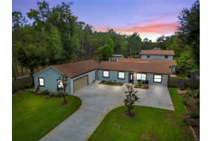 18102 Livingston Ave, LUTZ 18102 Livingston Ave, LUTZ