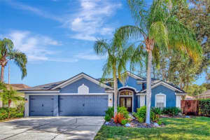 467 Equine Dr, TARPON SPRINGS 467 Equine Dr, TARPON SPRINGS