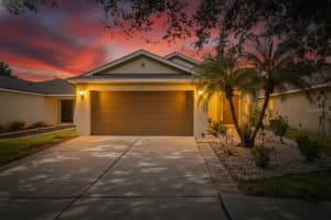 11550 Crestlake Village Dr, RIVERVIEW