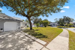 245 Petrea Dr, PALM HARBOR