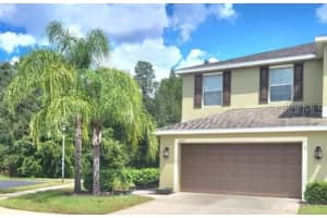 8502 Zapota Way, TAMPA 8502 Zapota Way, TAMPA