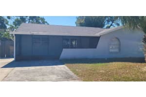 1405 Castleworks Ln, TARPON SPRINGS