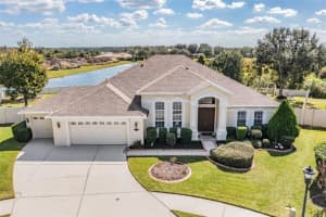 20331 Natures Corner Dr, TAMPA