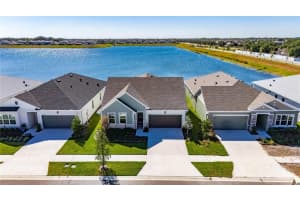 11329 Hardwood Hammock Ln, RIVERVIEW