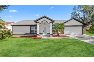 10426 Deepbrook Dr, RIVERVIEW 10426 Deepbrook Dr, RIVERVIEW