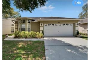 2527 Wrencrest Cir, VALRICO