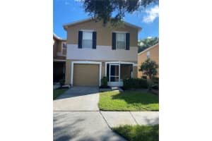 4142 Winding River Way, LAND O LAKES 4142 Winding River Way, LAND O LAKES