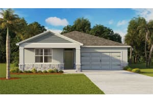 3415 Amber Waves Dr, PLANT CITY