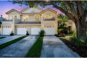 306 Fan Palm Ct Ne, ST PETERSBURG 306 Fan Palm Ct Ne, ST PETERSBURG