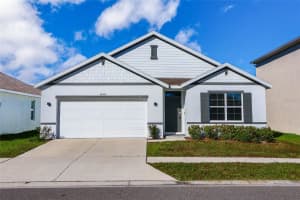 34029 Sorrel Mint Dr, WESLEY CHAPEL 34029 Sorrel Mint Dr, WESLEY CHAPEL