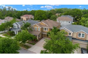 7029 Dowling Mill Cir, TAMPA