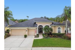 11904 Wandsworth Dr, TAMPA