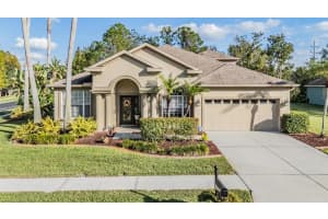 27239 Firebush Dr, WESLEY CHAPEL 27239 Firebush Dr, WESLEY CHAPEL