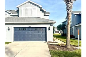 10327 Willow Leaf Trl, TAMPA