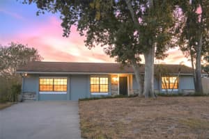 11213 Creekview Dr, RIVERVIEW