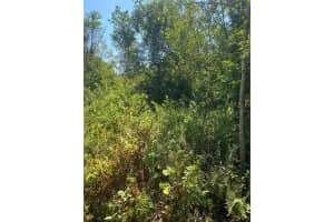 0000 23rd Ave Rd, OCALA