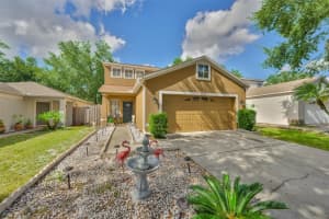 8446 Quarter Horse Dr, RIVERVIEW