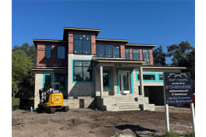 3007 W Helen Ave, TAMPA