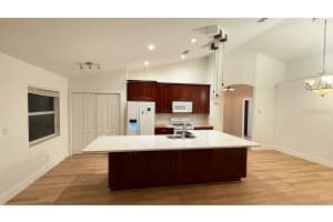 24407 Rolling View Ct, LUTZ