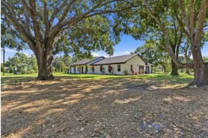 2506 Hawk Griffin Rd, PLANT CITY