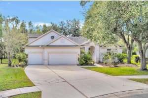 10218 Shadow Branch Dr, TAMPA
