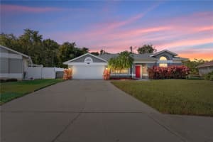 11406 Palm Pasture Dr, TAMPA