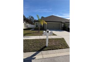 8917 Southern Charm Cir, BROOKSVILLE 8917 Southern Charm Cir, BROOKSVILLE