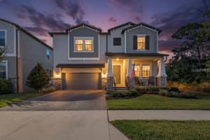 7701 S Faul St, TAMPA