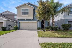 17211 Beach Buttercup Pl, WIMAUMA