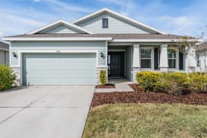 3742 Mossy Limb Ct, PALMETTO