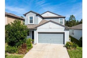 5127 Sable Chime Dr, WIMAUMA